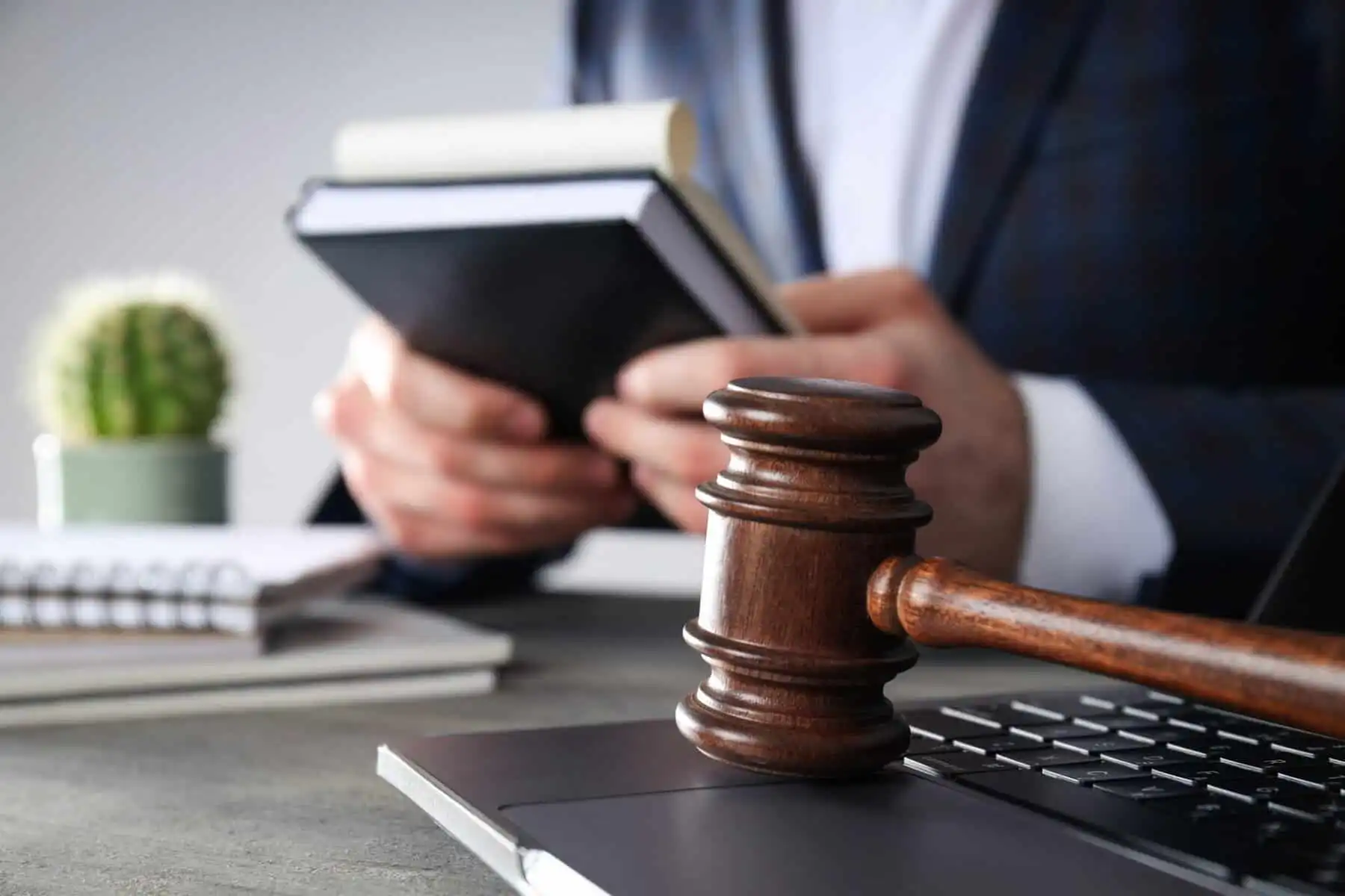 Professional law firm web design Charleston services that drive client engagement and SEO rankings.

